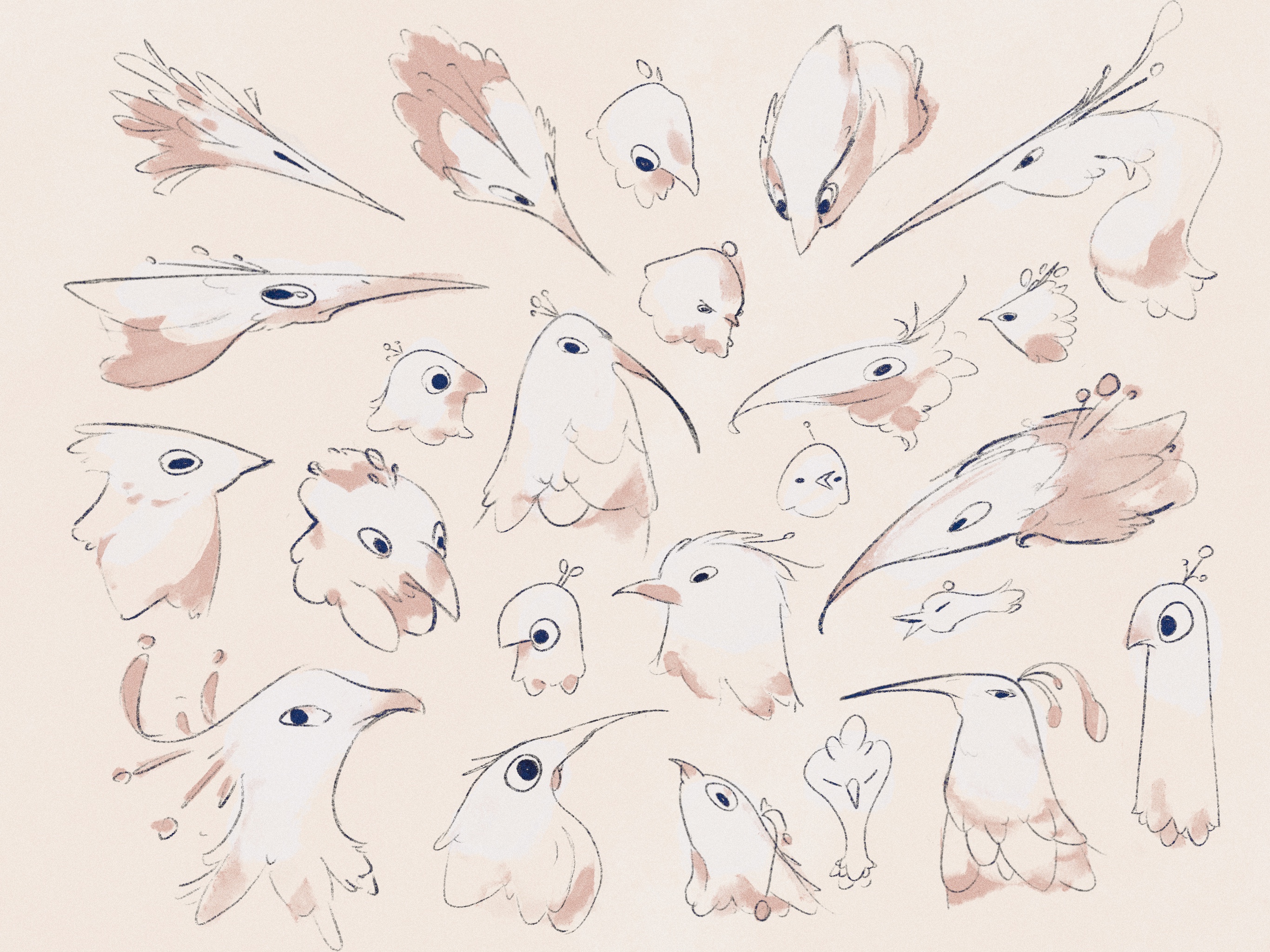 Bird Heads